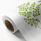 Fine Art Realism Print - British Ferns by Edward J. Lowe - Elegant Wall Art