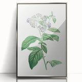 Neoclassical Art Print: Forget-Me-Not by Redouté - Classic Floral Decor