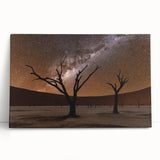 Black and white photograph of a Namibian landscape on stretched canvas, suitable as large kitchen or bedroom wall art.