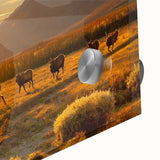 Large abstract wall art depicting the Yukon scenery in mid-century modernist style on acrylic glass.