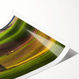 Extra large rolled print of line art flowers in muted earth tones, ideal for large living room wall art.