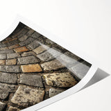 Extra large wall art featuring line art flowers in muted earth tones on a rolled canvas, ideal for large living room decor.