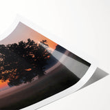 Extra large wall art featuring line art flowers in muted tones on a rolled print, ideal for large living room decor.