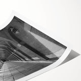 Extra large wall art featuring line art flowers in muted tones on rolled print, ideal for large living room decor.