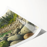 Extra large rolled print featuring line art flowers in muted colors, ideal for large living room wall decor.