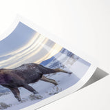 Extra large rolled print of the Grand Tetons with a line art flowers overlay, in muted earth tones.