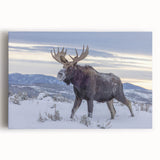 Black and white stretched canvas of the Grand Tetons, ideal for kitchen wall art.