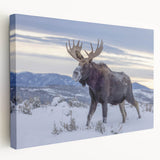 Landscape print of Wyoming's Grand Tetons on large stretched canvas, featuring natural earth tones.