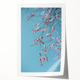 Spring-themed floral art on rolled canvas, featuring pastel shades, ideal for dining room wall decor.
