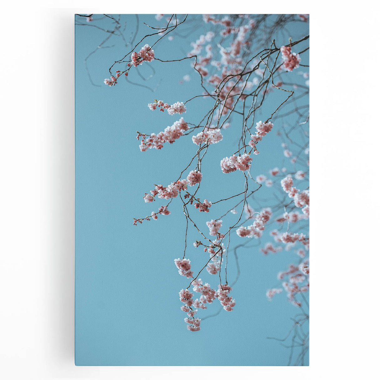 Large black and white stretched canvas featuring a minimalist spring tree design, ideal for kitchen wall art.
