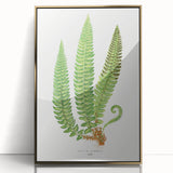 Realistic Fern Art Print - Aspidium Lonchitis by E.J. Lowe - Elegant Wall Decor