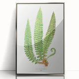 Realistic Fern Art Print - Aspidium Lonchitis by E.J. Lowe - Elegant Wall Decor