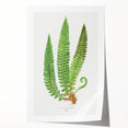 Realistic Fern Art Print - Aspidium Lonchitis by E.J. Lowe - Elegant Wall Decor