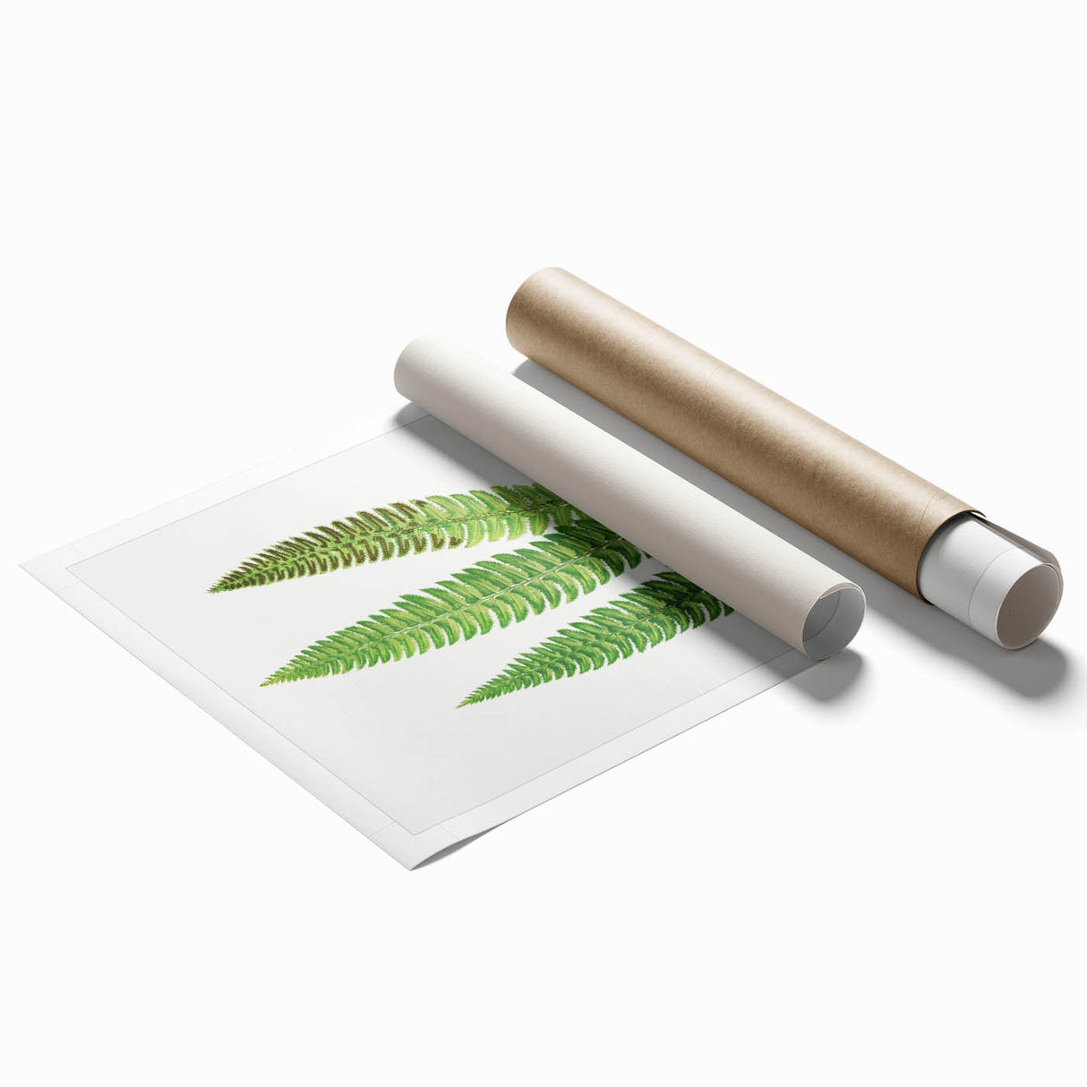 Realistic Fern Art Print - Aspidium Lonchitis by E.J. Lowe - Elegant Wall Decor