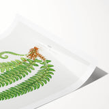 Realistic Fern Art Print - Aspidium Lonchitis by E.J. Lowe - Elegant Wall Decor