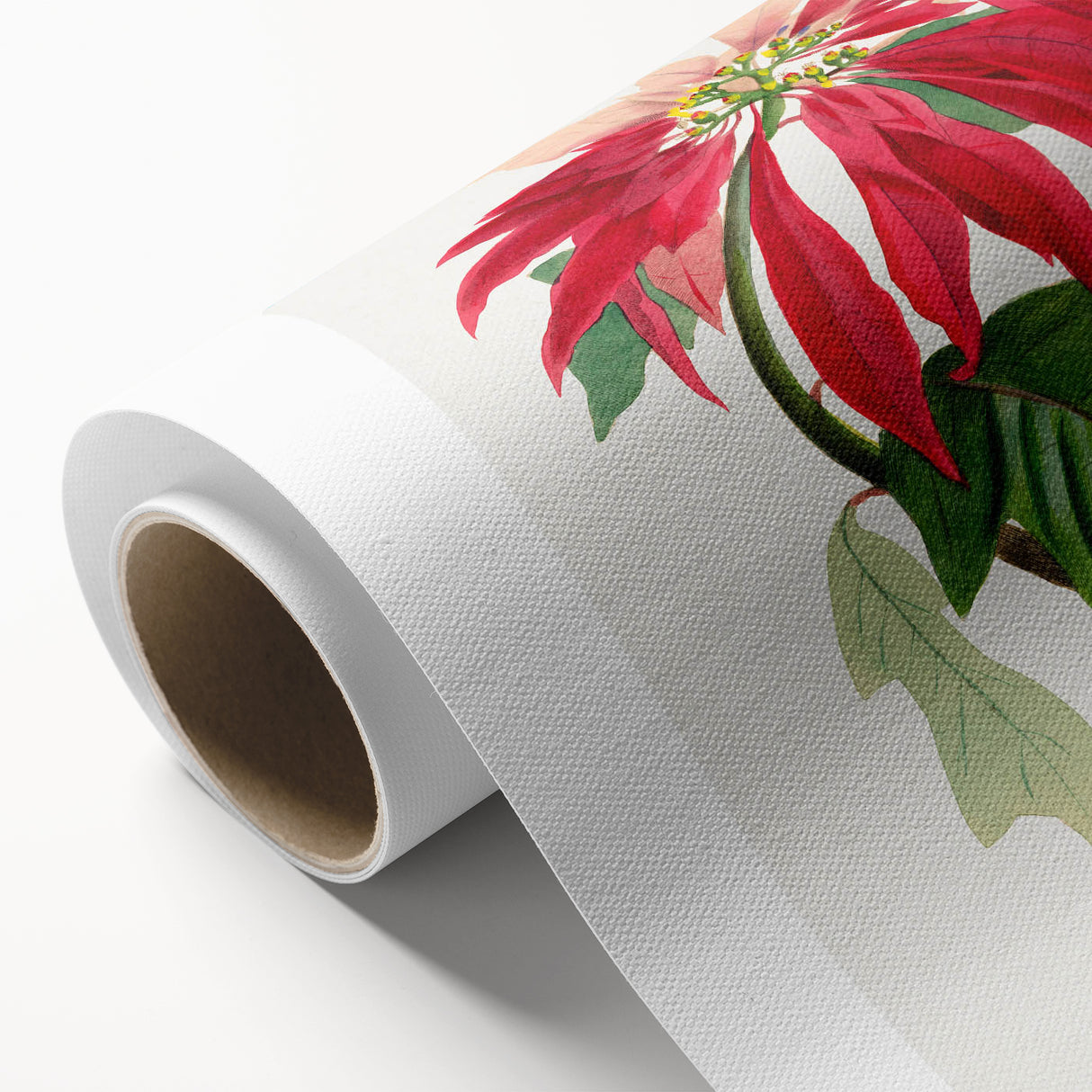 Romanticism Art - Poinsettia Flower Painting with Historical Elegance