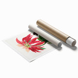 Romanticism Art - Poinsettia Flower Painting with Historical Elegance