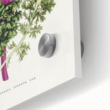 Romanticism Art - Wild Cabbage Leaf Illustration on Canvas