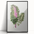 Romanticism Art - Wild Cabbage Leaf Illustration on Canvas