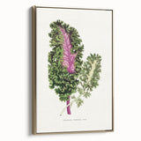 Romanticism Art - Wild Cabbage Leaf Illustration on Canvas