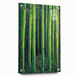 Abstract floral acrylic artwork displayed from a side view, showcasing vibrant colors and intricate designs, pinned elegantly for visual appeal. Perfect for modern decor.