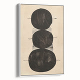 Framed minimalist wall art featuring abstract design in soft white tones, elegantly displayed in a sleek black frame, perfect for modern home decor.