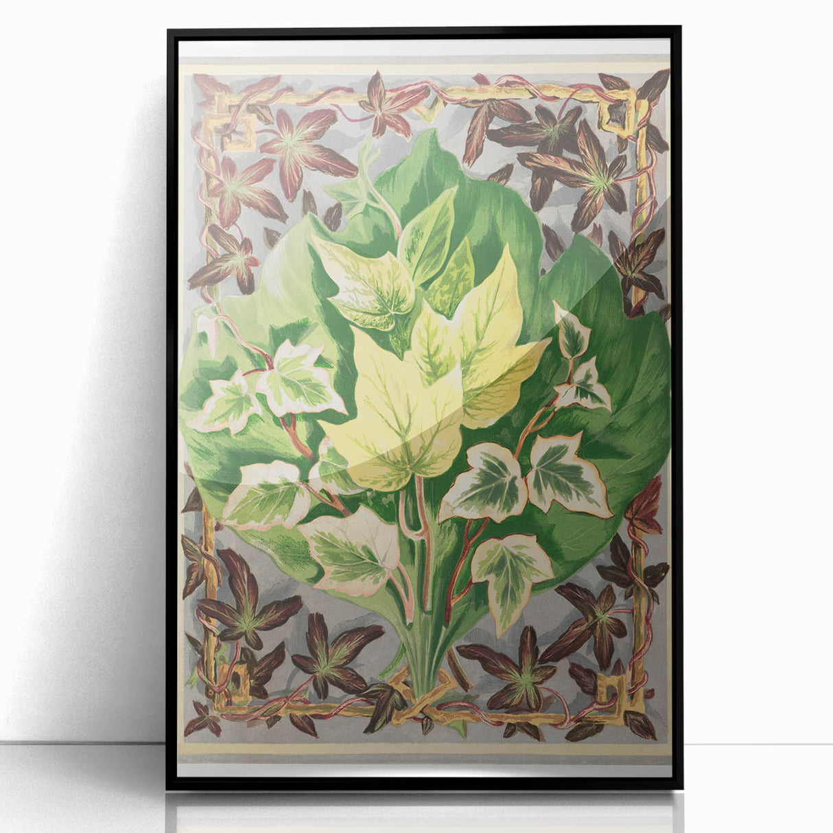 Botanical Art Print - Various Ivy Leaves by Shirley Hibberd - Classic Plant Illustration