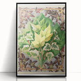 Botanical Art Print - Various Ivy Leaves by Shirley Hibberd - Classic Plant Illustration
