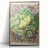 Botanical Art Print - Various Ivy Leaves by Shirley Hibberd - Classic Plant Illustration
