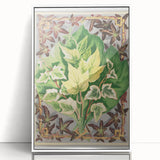 Botanical Art Print - Various Ivy Leaves by Shirley Hibberd - Classic Plant Illustration
