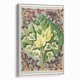 Botanical Art Print - Various Ivy Leaves by Shirley Hibberd - Classic Plant Illustration