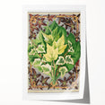 Botanical Art Print - Various Ivy Leaves by Shirley Hibberd - Classic Plant Illustration