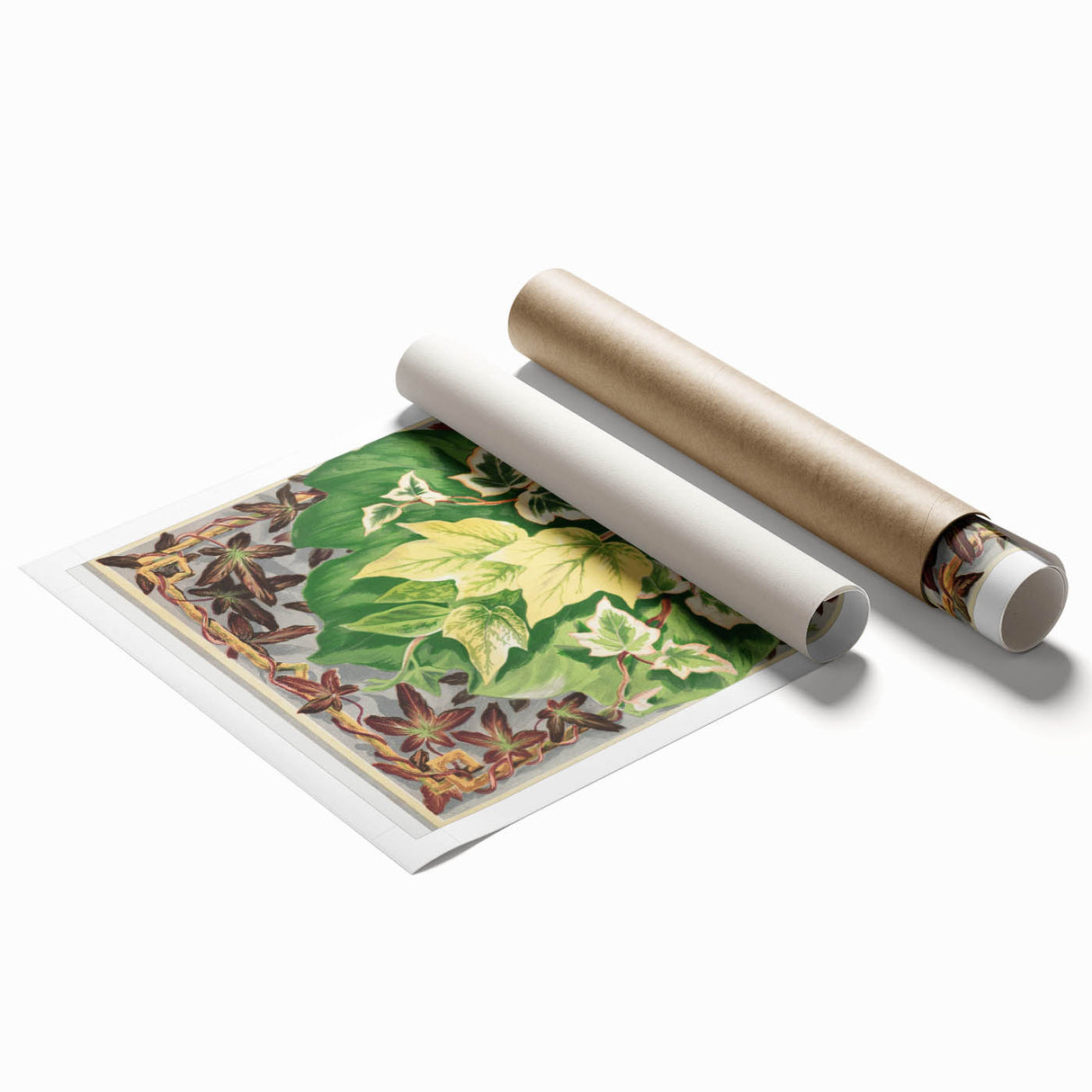Botanical Art Print - Various Ivy Leaves by Shirley Hibberd - Classic Plant Illustration