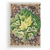 Botanical Art Print - Various Ivy Leaves by Shirley Hibberd - Classic Plant Illustration