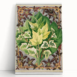 Botanical Art Print - Various Ivy Leaves by Shirley Hibberd - Classic Plant Illustration