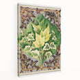 Botanical Art Print - Various Ivy Leaves by Shirley Hibberd - Classic Plant Illustration