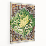 Botanical Art Print - Various Ivy Leaves by Shirley Hibberd - Classic Plant Illustration