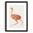 Romanticism Art - Dorking Hen by George Stubbs