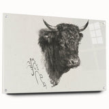 Animal Realism Art Print - Head of a Bull by Marie Rosalie Bonheur - Fine Detail Sketch