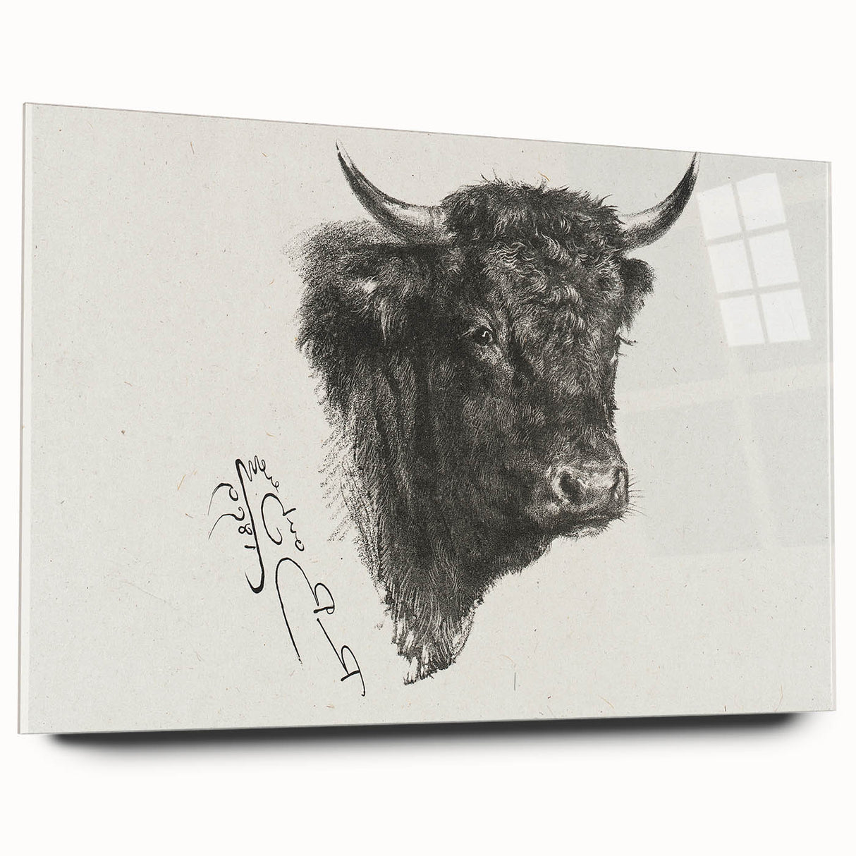 Animal Realism Art Print - Head of a Bull by Marie Rosalie Bonheur - Fine Detail Sketch