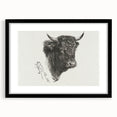 Animal Realism Art Print - Head of a Bull by Marie Rosalie Bonheur - Fine Detail Sketch