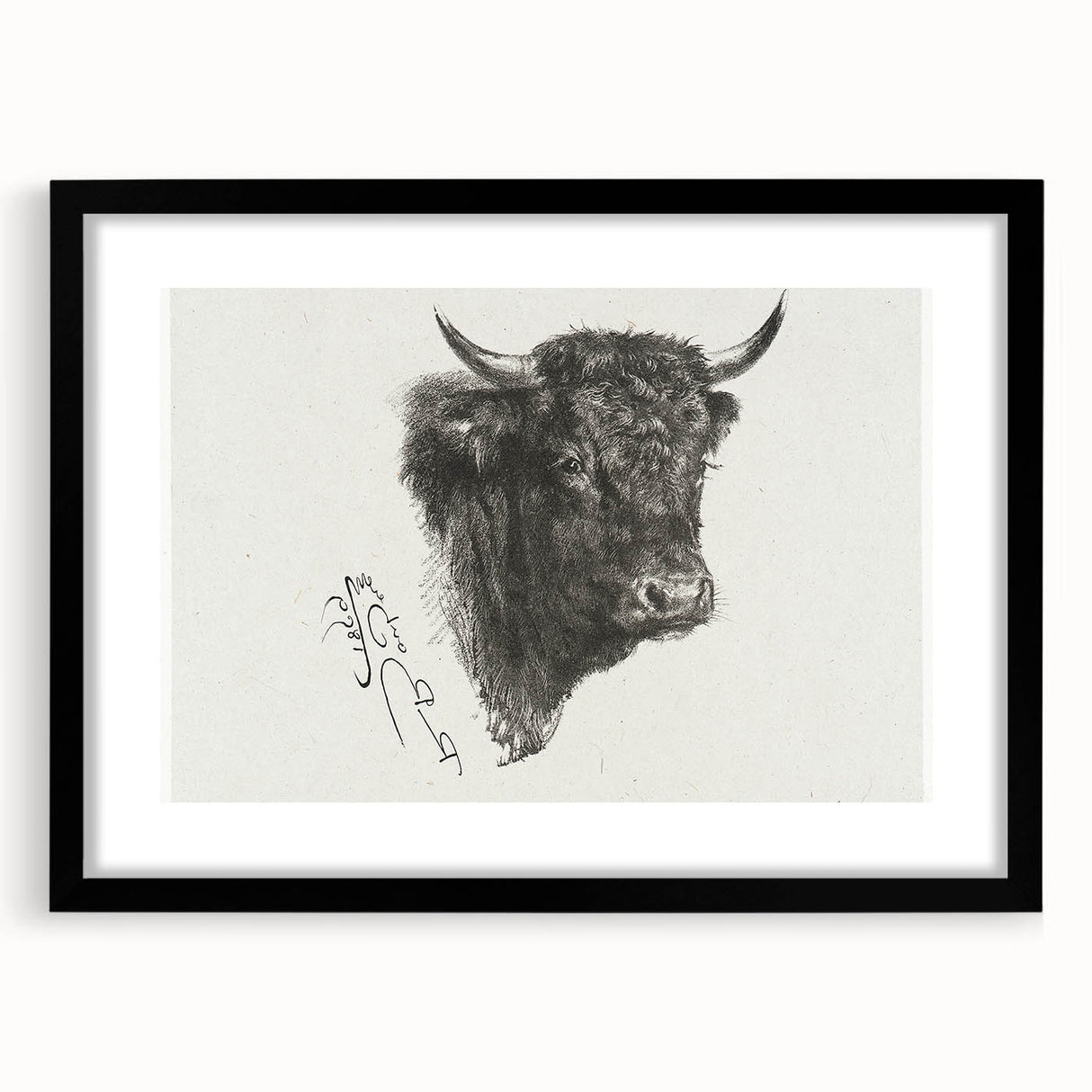 Animal Realism Art Print - Head of a Bull by Marie Rosalie Bonheur - Fine Detail Sketch