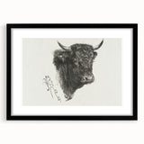 Animal Realism Art Print - Head of a Bull by Marie Rosalie Bonheur - Fine Detail Sketch