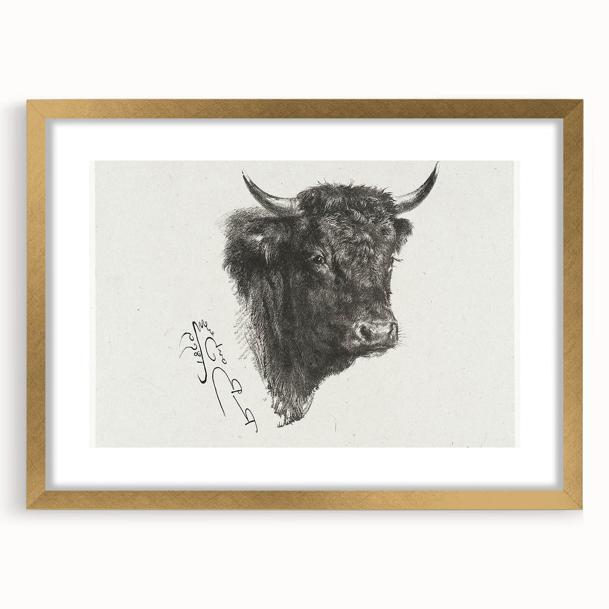 Animal Realism Art Print - Head of a Bull by Marie Rosalie Bonheur - Fine Detail Sketch
