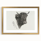Animal Realism Art Print - Head of a Bull by Marie Rosalie Bonheur - Fine Detail Sketch