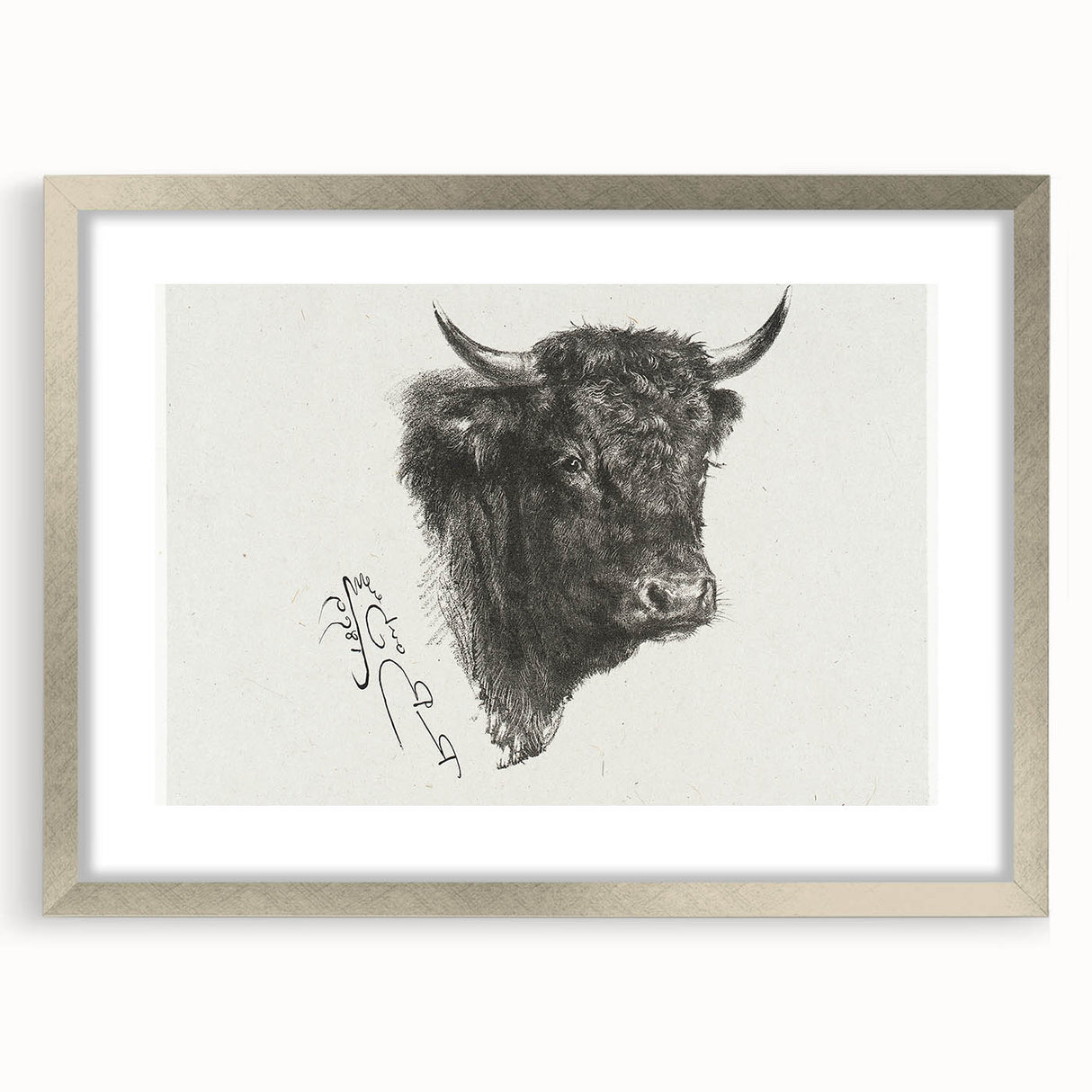 Animal Realism Art Print - Head of a Bull by Marie Rosalie Bonheur - Fine Detail Sketch