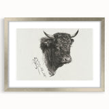 Animal Realism Art Print - Head of a Bull by Marie Rosalie Bonheur - Fine Detail Sketch