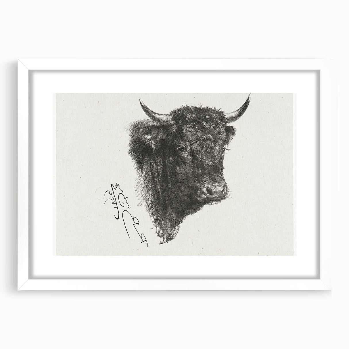 Animal Realism Art Print - Head of a Bull by Marie Rosalie Bonheur - Fine Detail Sketch