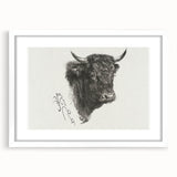 Animal Realism Art Print - Head of a Bull by Marie Rosalie Bonheur - Fine Detail Sketch
