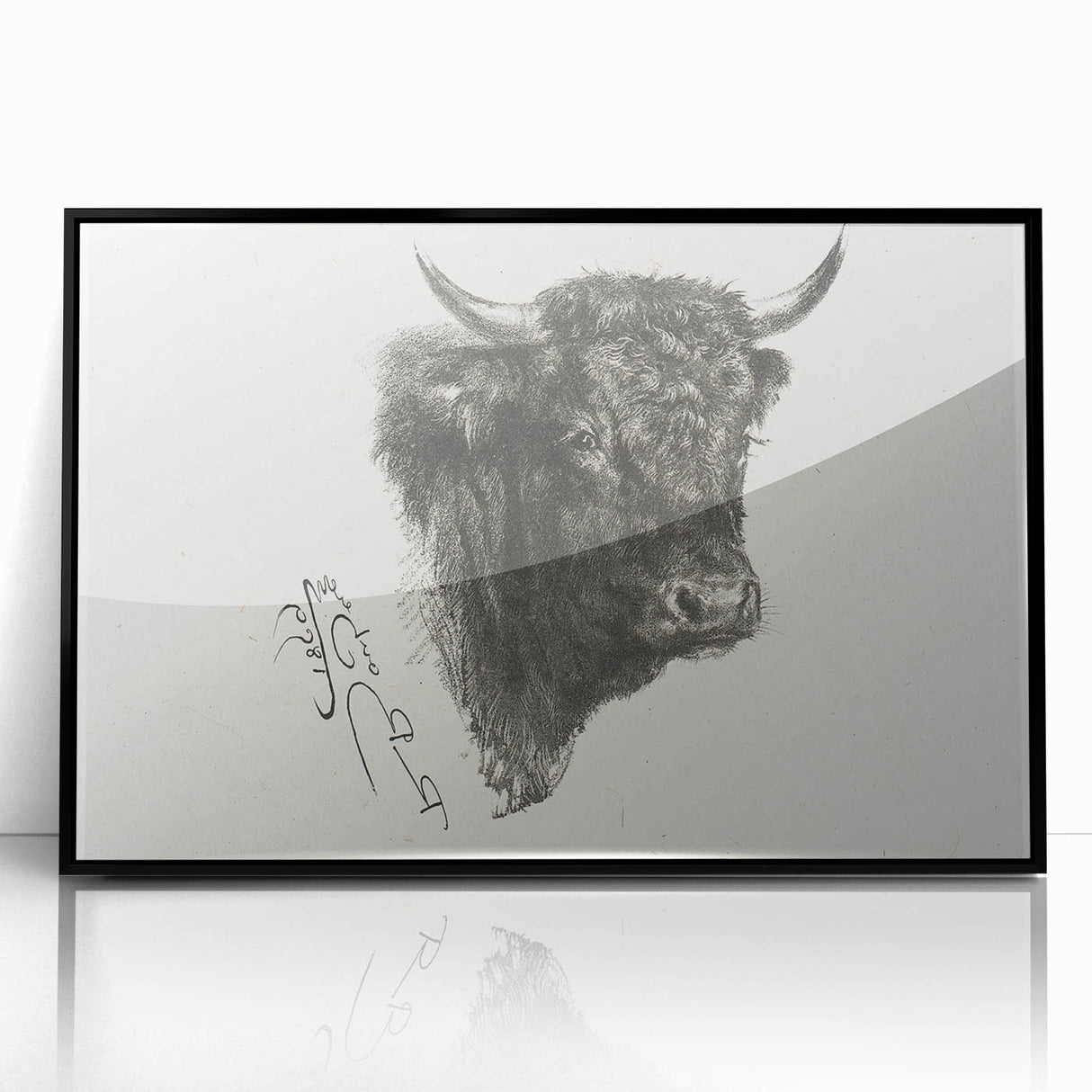Animal Realism Art Print - Head of a Bull by Marie Rosalie Bonheur - Fine Detail Sketch